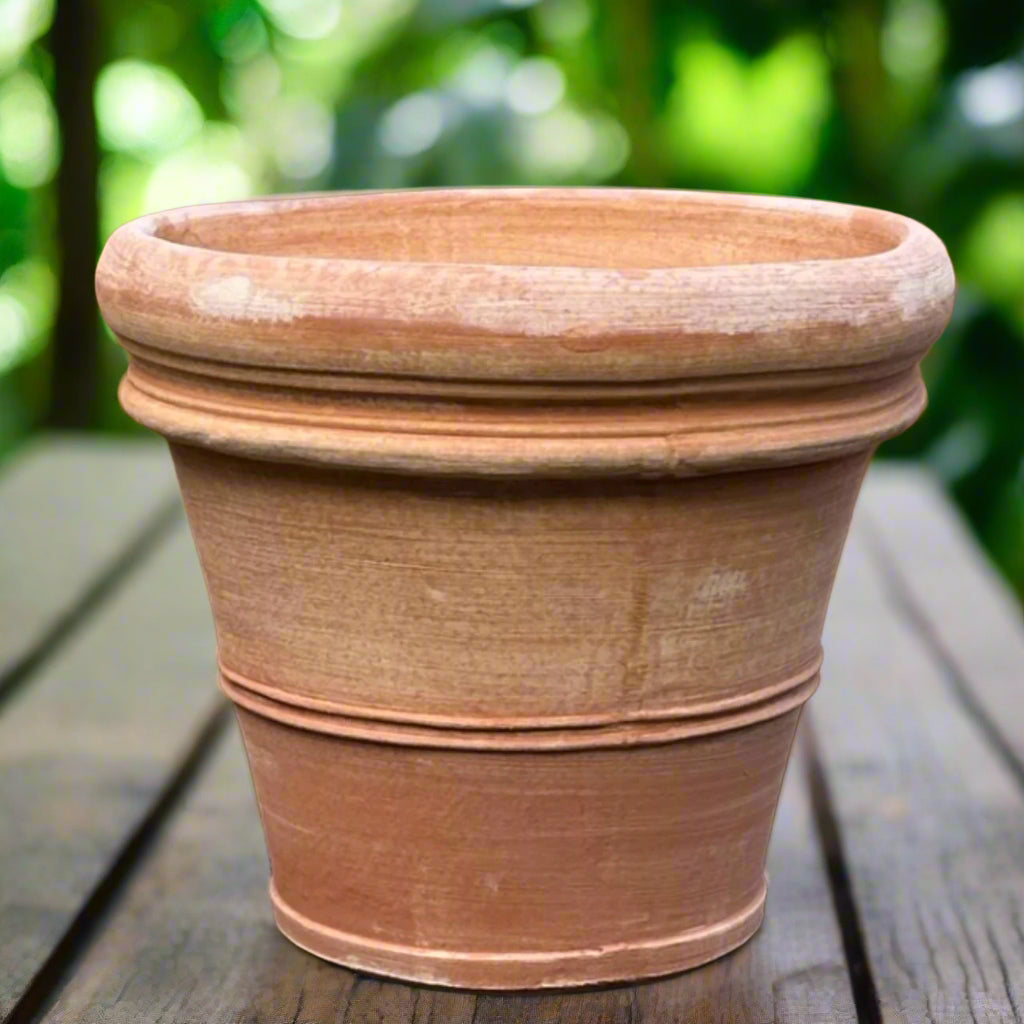 Terracota Plant Pot