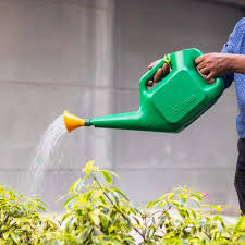 Water Can Sprayer
