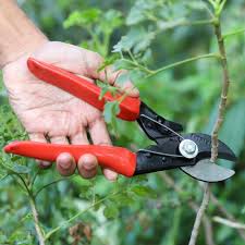 Gardening Pruner