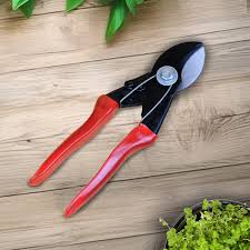 Gardening Pruner