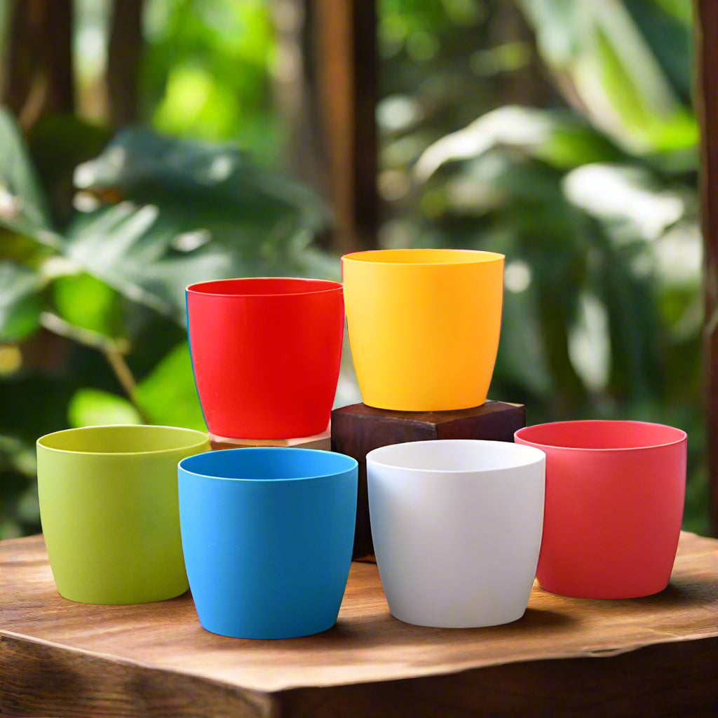 Plastic Coloured Bowl