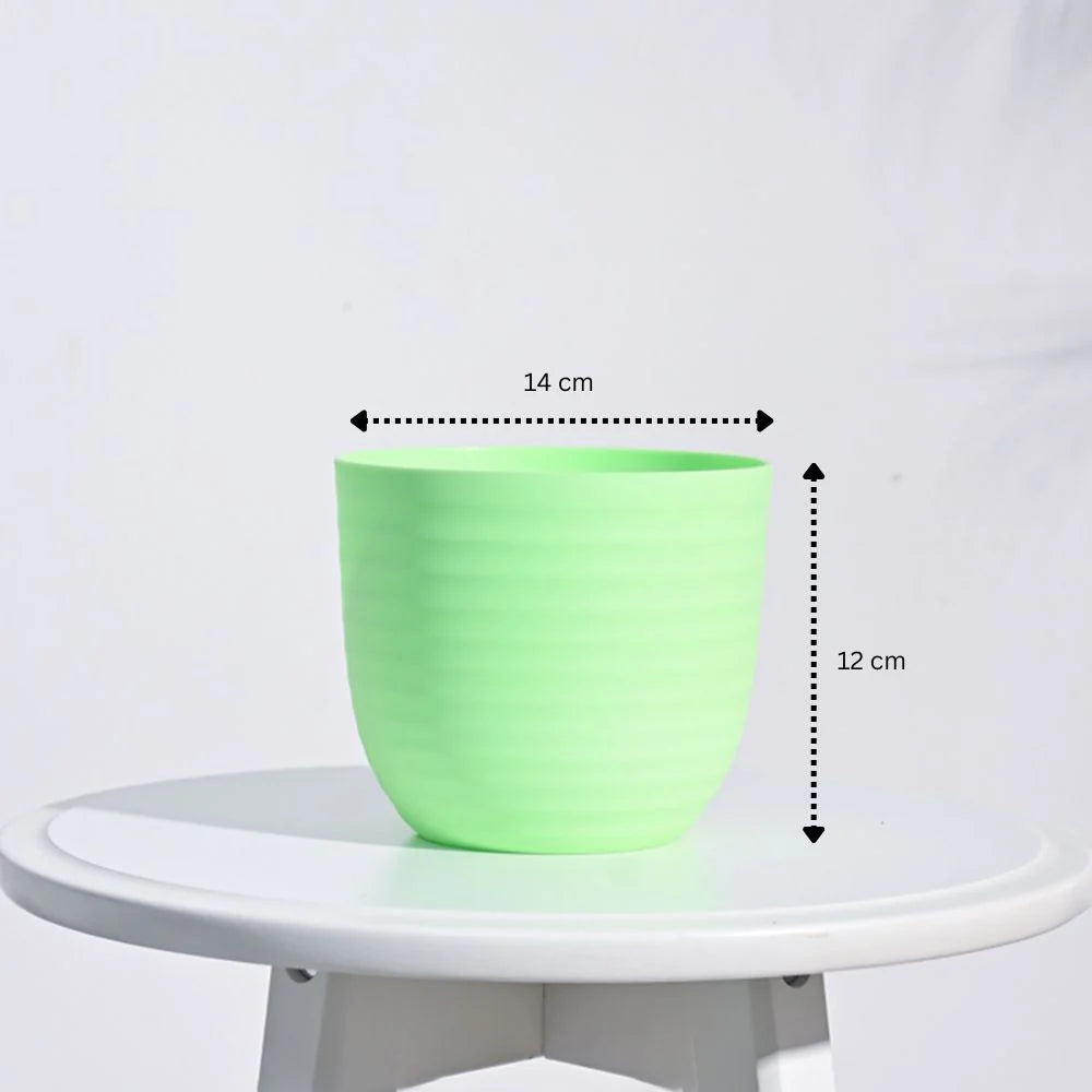 Plastic Cup Plant Pots